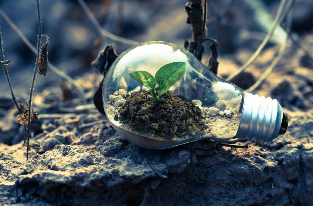 Sustainable Living
